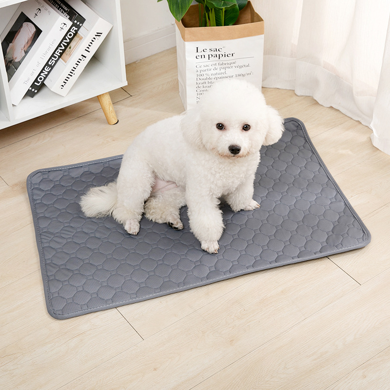 Reusable Dog Pee Pad Blanket A - Carriage Bed review and price